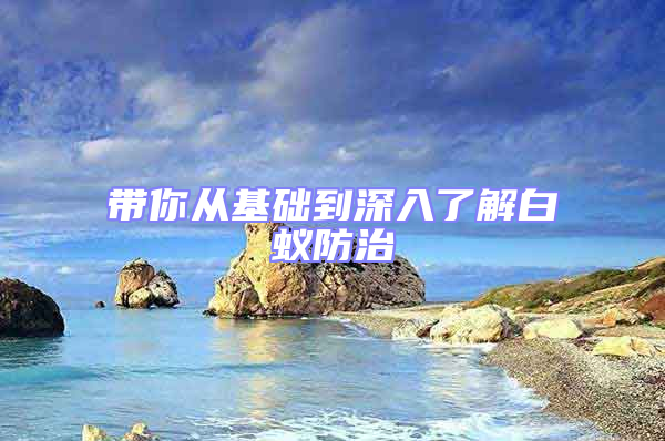帶你從基礎(chǔ)到深入了解白蟻防治