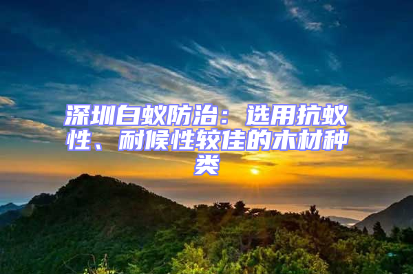 深圳白蟻防治：選用抗蟻性、耐候性較佳的木材種類